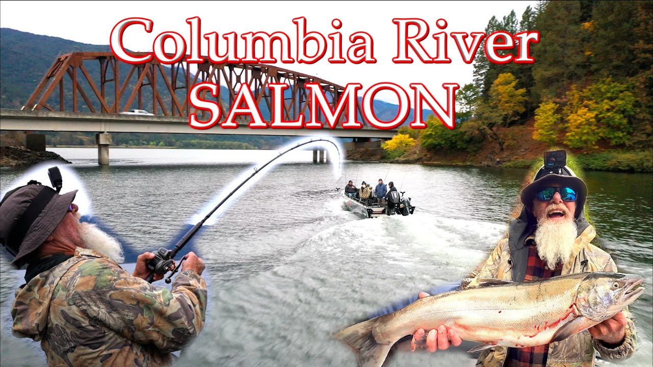 SALMON FRENZY - Columbia River Washington