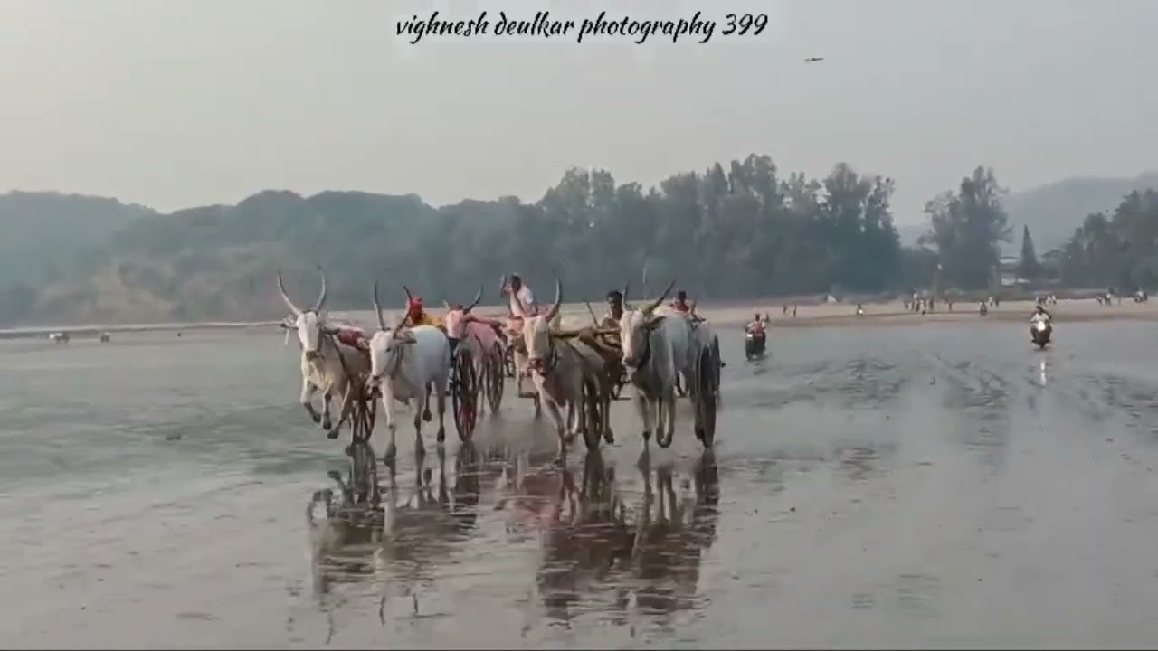 12 jan 2025 nadgaw final amol kotwal chota Sonya/shankiya 👑 king  maker abhi dharve