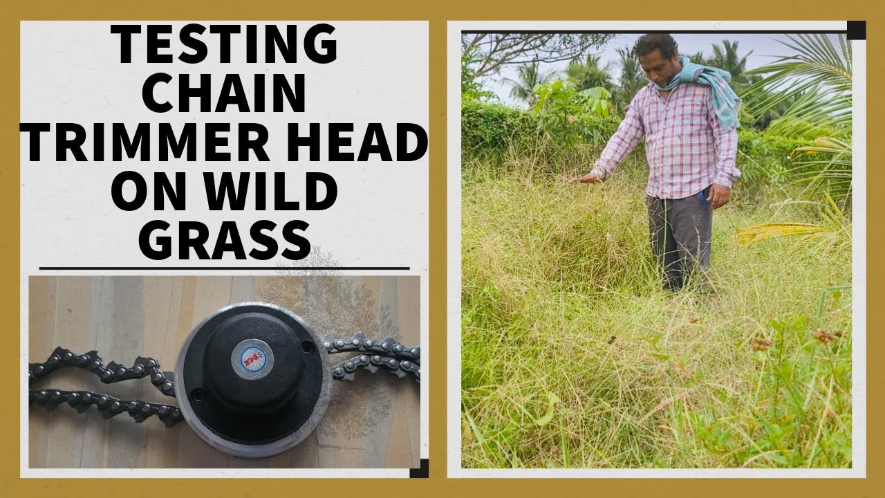 Testing Chain Trimmer Head for cutting  thick wild grass