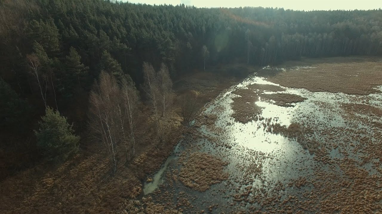 Intro #1 - zlasowani.pl - Bushcraft, Outdoor, Survival