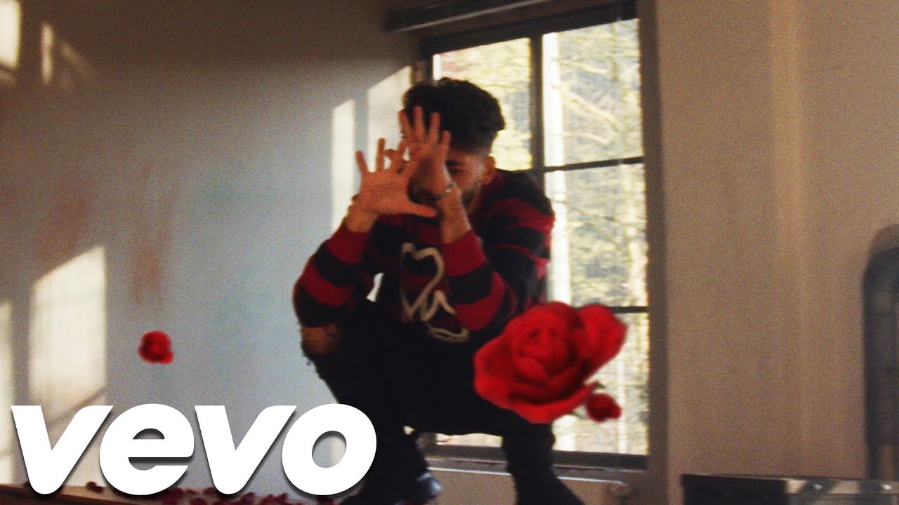 Trippie Boi - Sie Weiss (Official Video 4K)