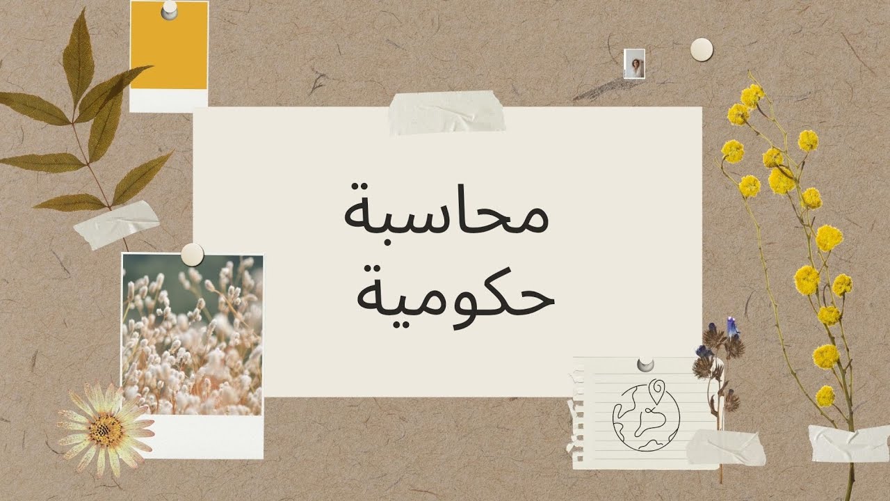 محاسبة حكومية 
