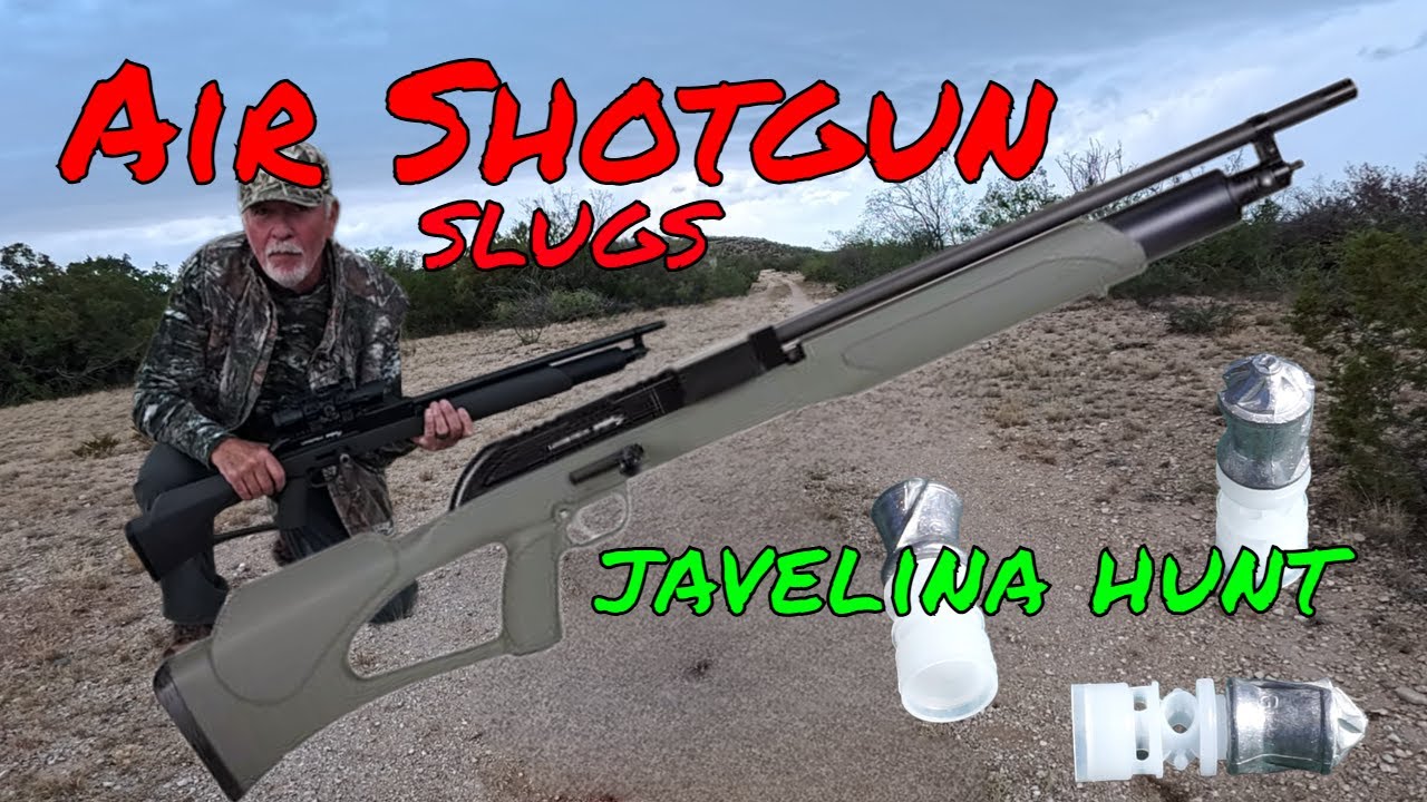 Air Powered Shot/Slug Gun - Field Experience!
