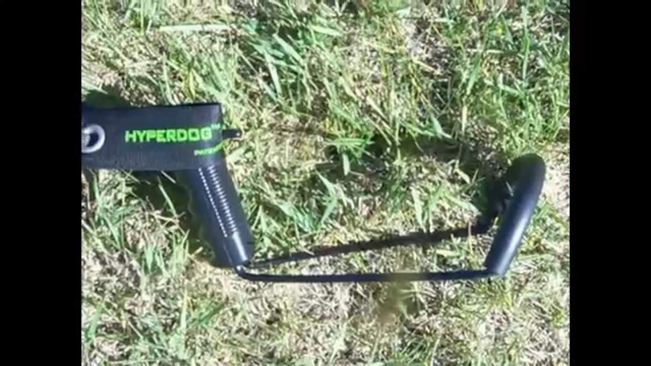 HyperDog Sling Shot Video - My Dog Loves It