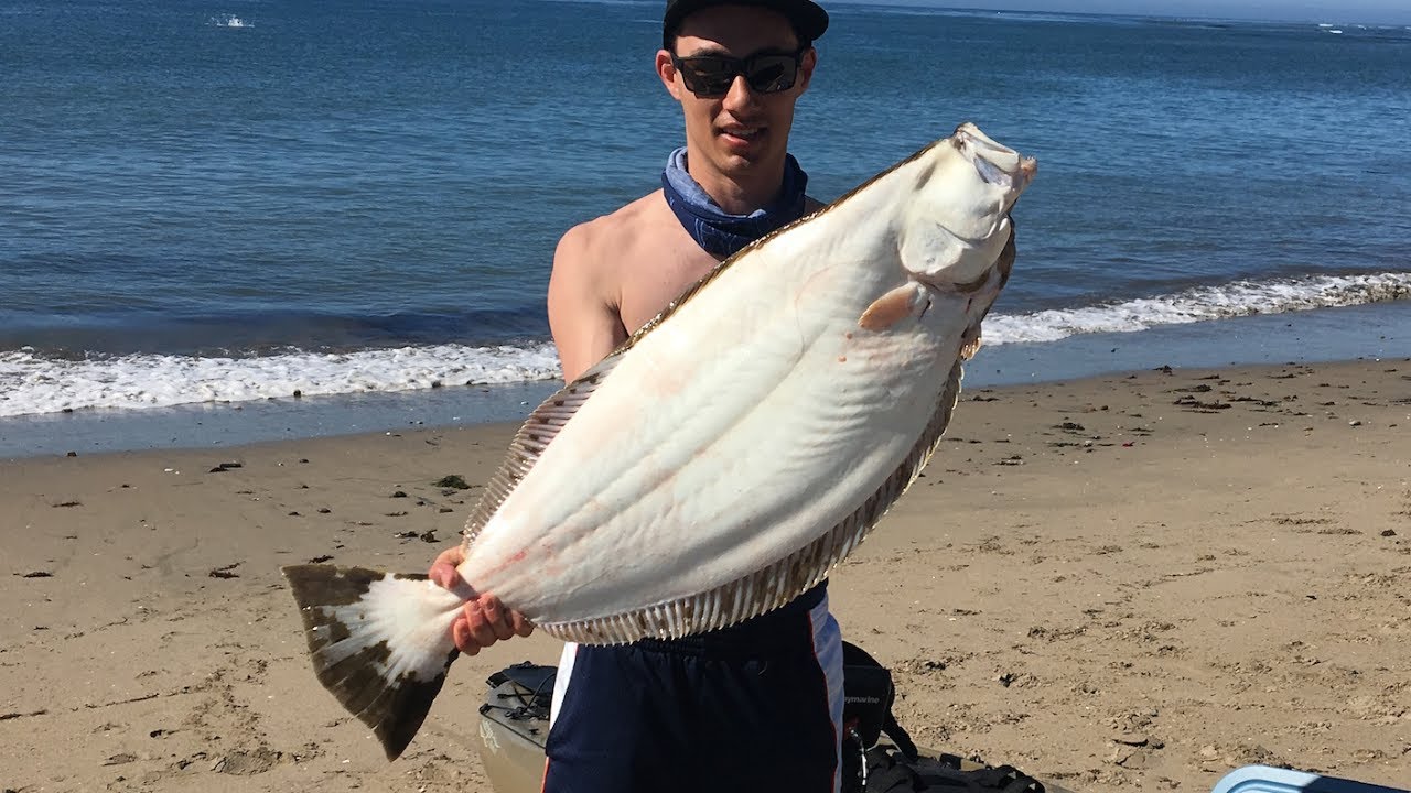 Halibut from a Kayak - My first fish on the Kayak - Epic Filming FAIL