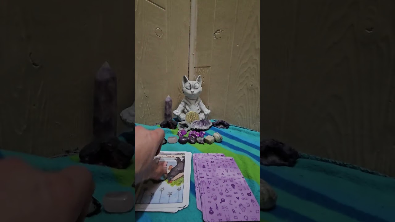 Cat tarot 🐈‍⬛💜🤗🦋🙃🙂🌞