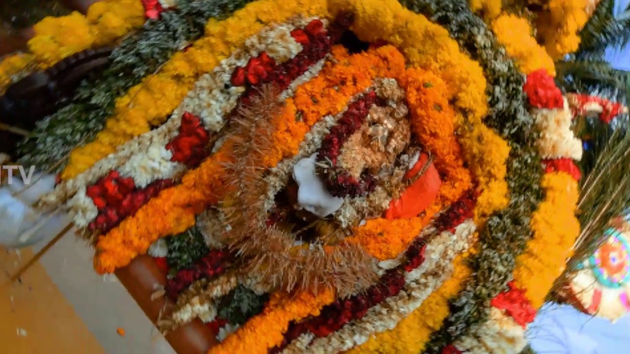 Paraseri kavadi kaddu 2020