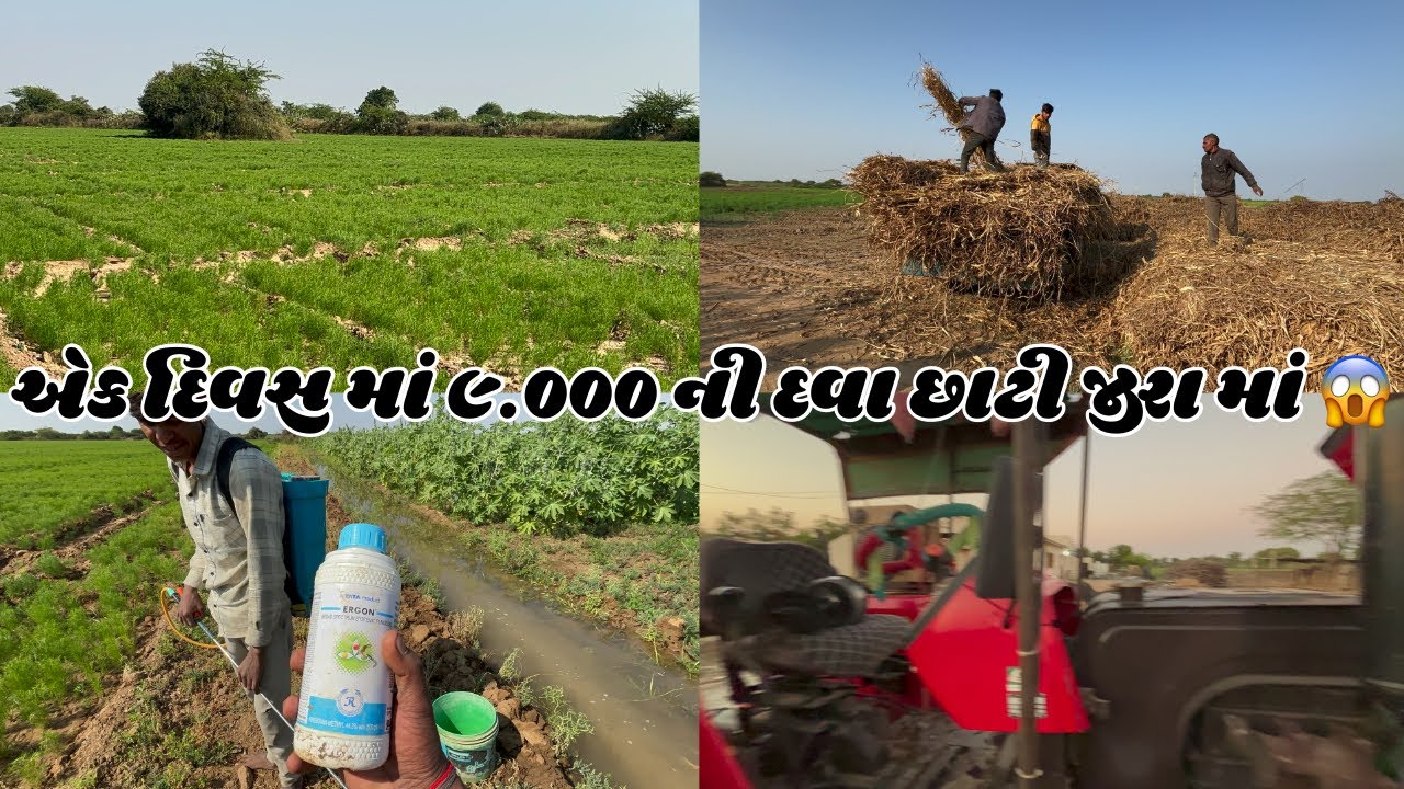 યાત્રા કરી ધર્મ નું કામ કર્યું સૂકી જુવાર આપી ગૌશાળા માં 🐮🔱॥ #goswamifarmingvagad #virl 
