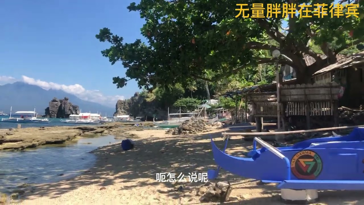 终于把菲律宾小众海岛杜马盖地的大众一日游都打卡完毕了 再扯两句Apo海龟岛的现状