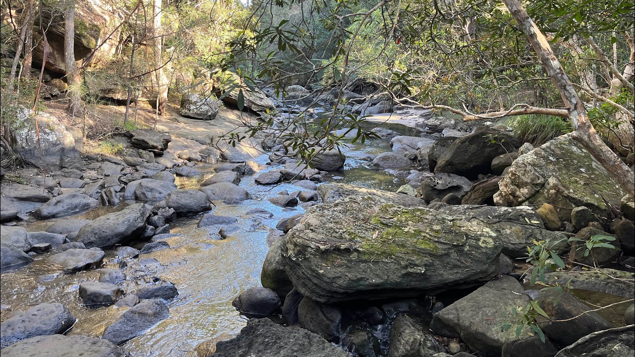 Berowra to Sams Creek hike