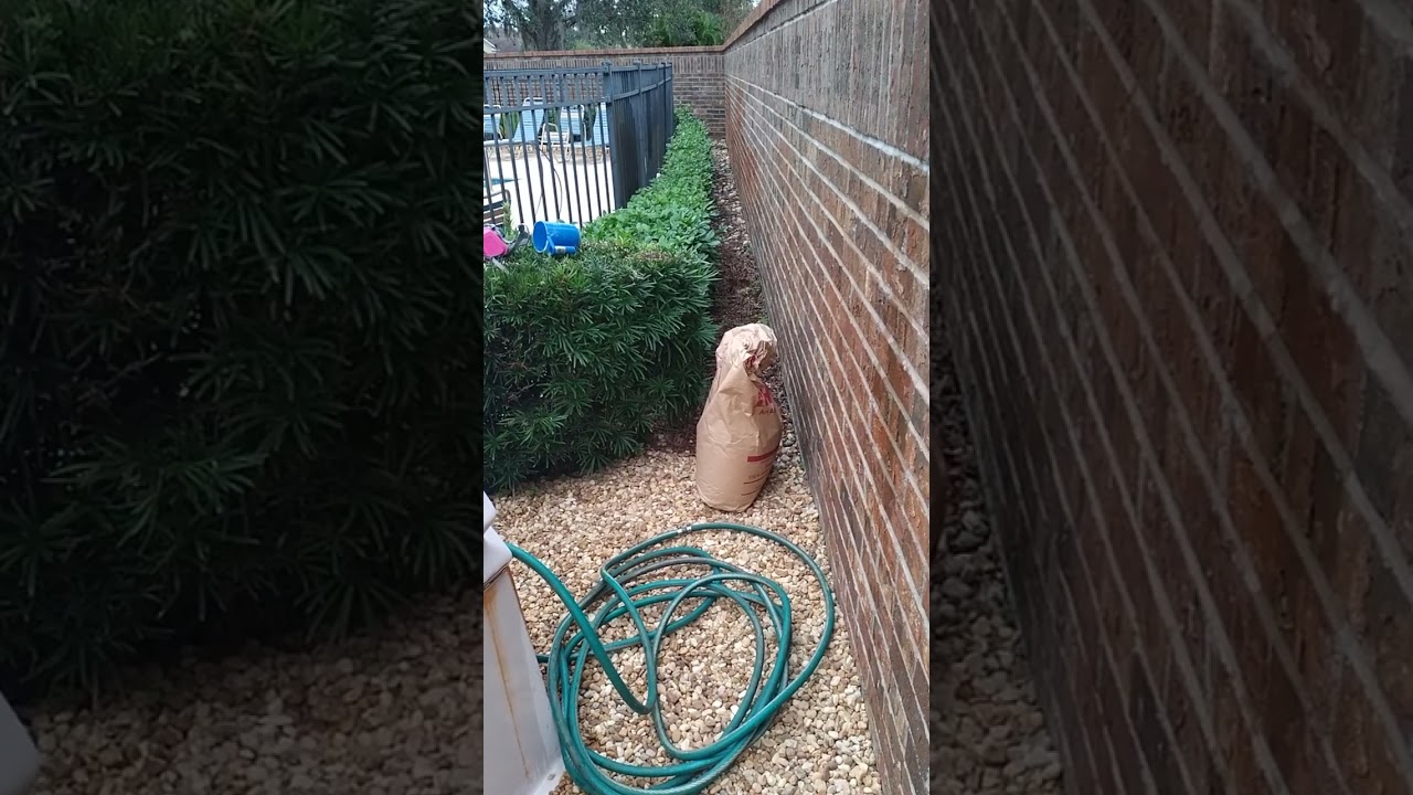 commercial Pool maintenance 