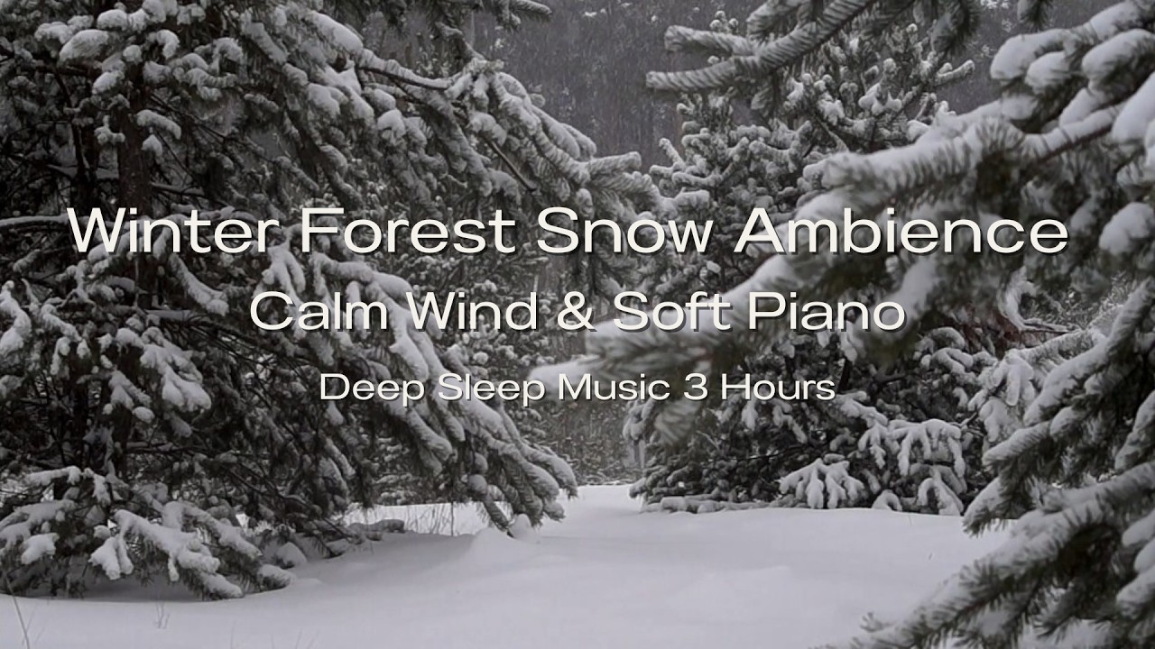 Winter Forest Snow Ambience ❄️ Calm Wind & Soft Piano | Deep Sleep Music 3 Hours