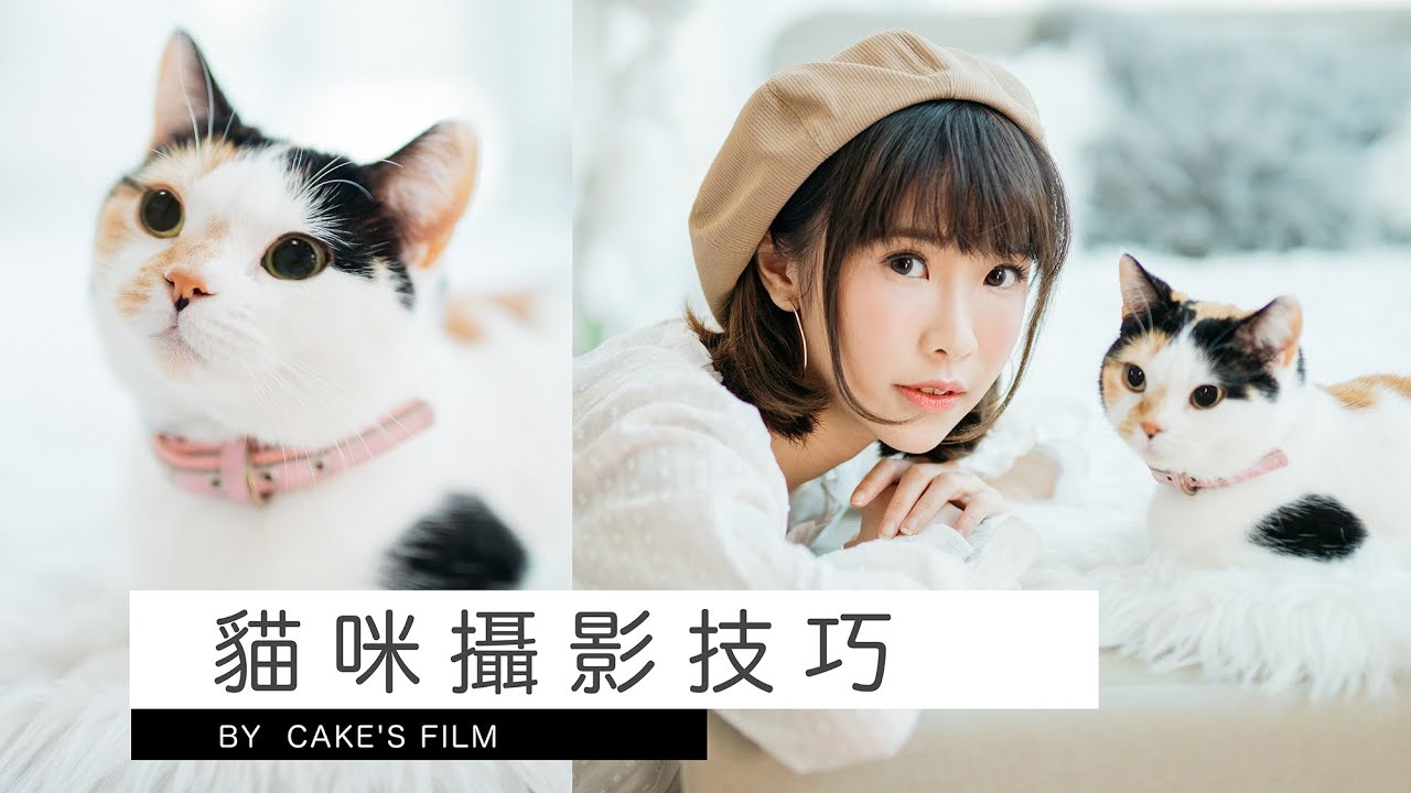 貓咪怎麼拍最可愛？寵物攝影技巧分享｜ 女攝影師Cake’s Film