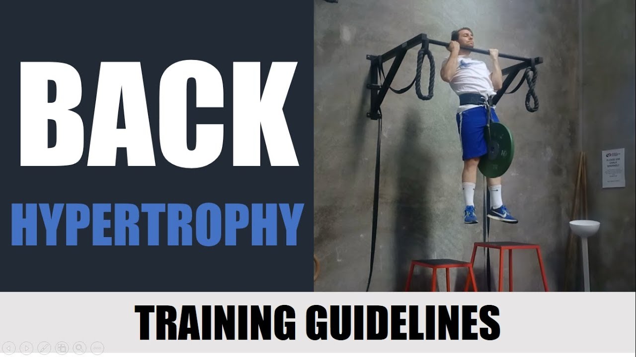 Hypertrophy Training Guidelines | Back