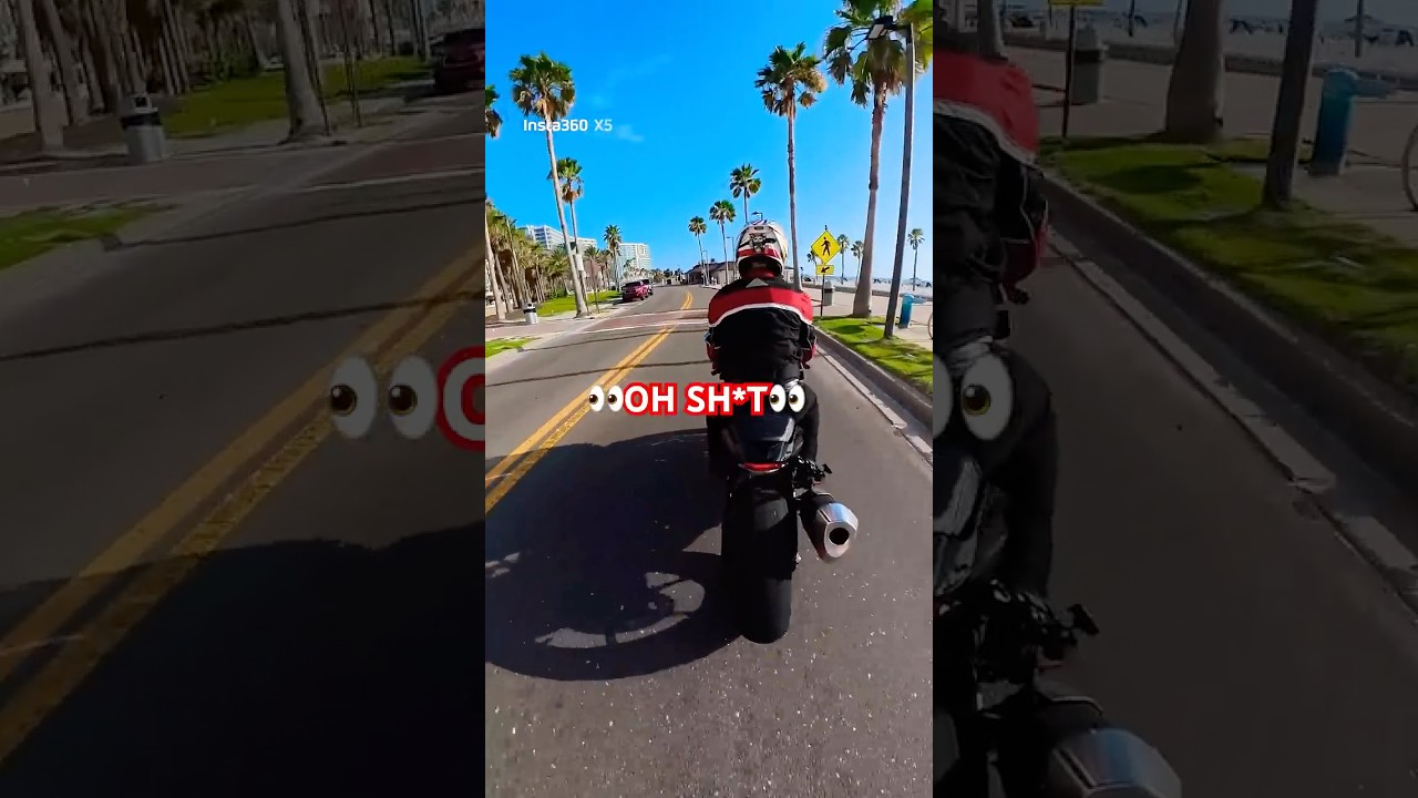 #bike #life #motorcycle #rider  #gsxr #gsxr1000 #florida #vibes #daily #cruise #watch #short #funny