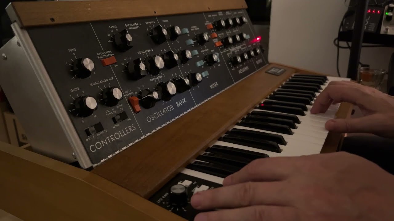 Minimoog Floatie #1