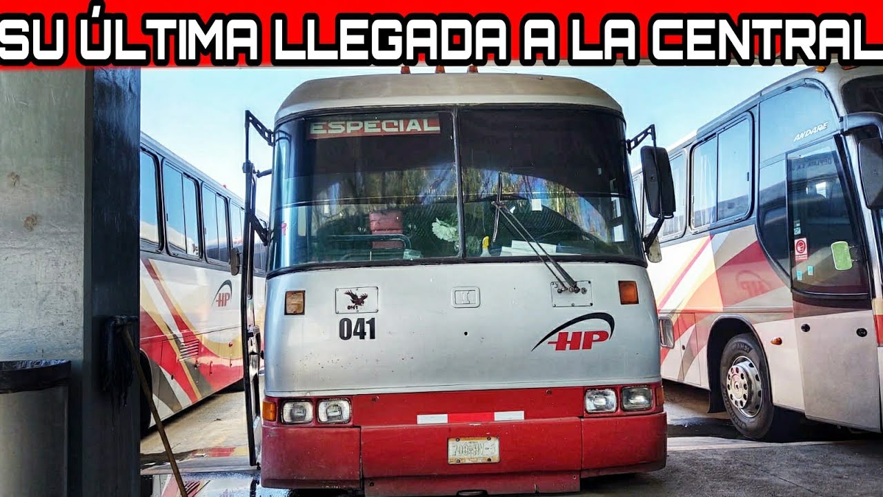 Halcón de Herradura de Plata hace última llegada