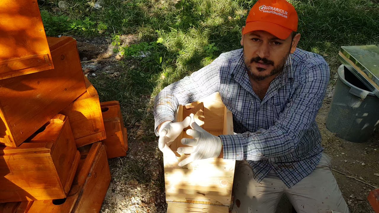 Ruşet kovanla ilgili
