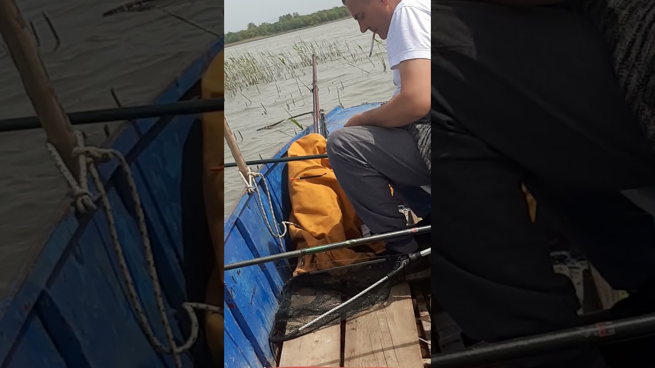 KRUPNA BABUSKA pecanje na plovak bara djurica.01.05.2021