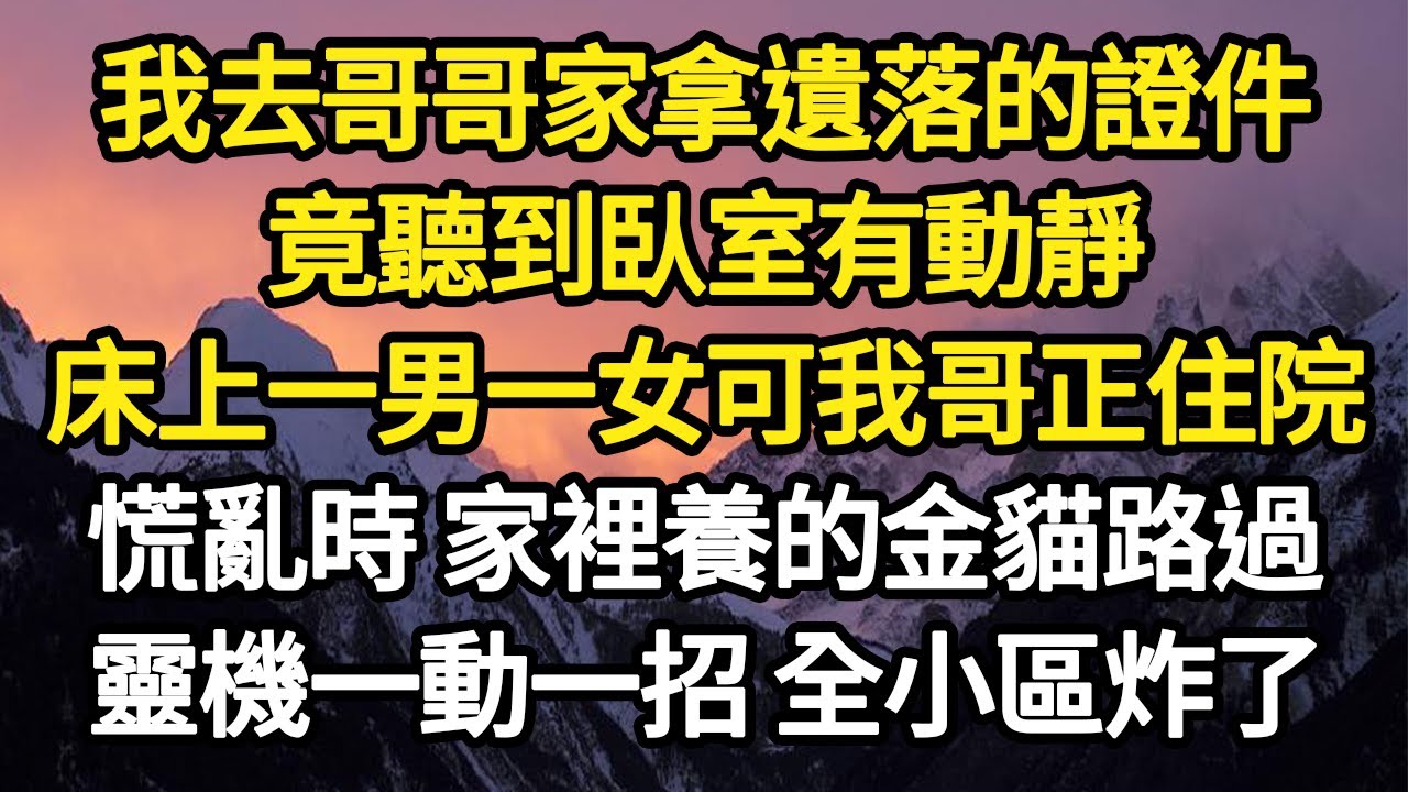 我去哥哥家拿遺落的證件，竟聽到臥室有動靜，床上一男一女可我哥正住院，慌亂時 家裡養的金貓路過，靈機一動一招全小區炸了 #故事#悬疑#人性#刑事#人生故事#生活哲學#為人哲學