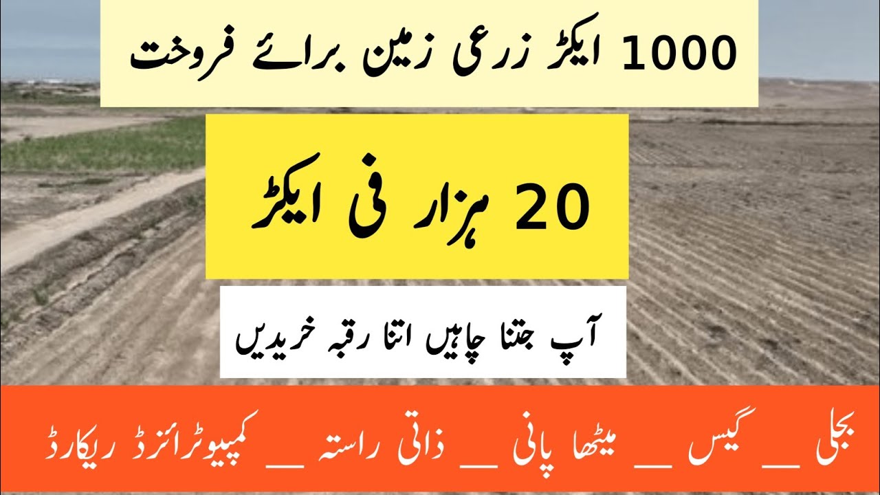 Agriculture land for sale in Pakistan | land for sale in Pakistan | zameen for sale in Pakistan