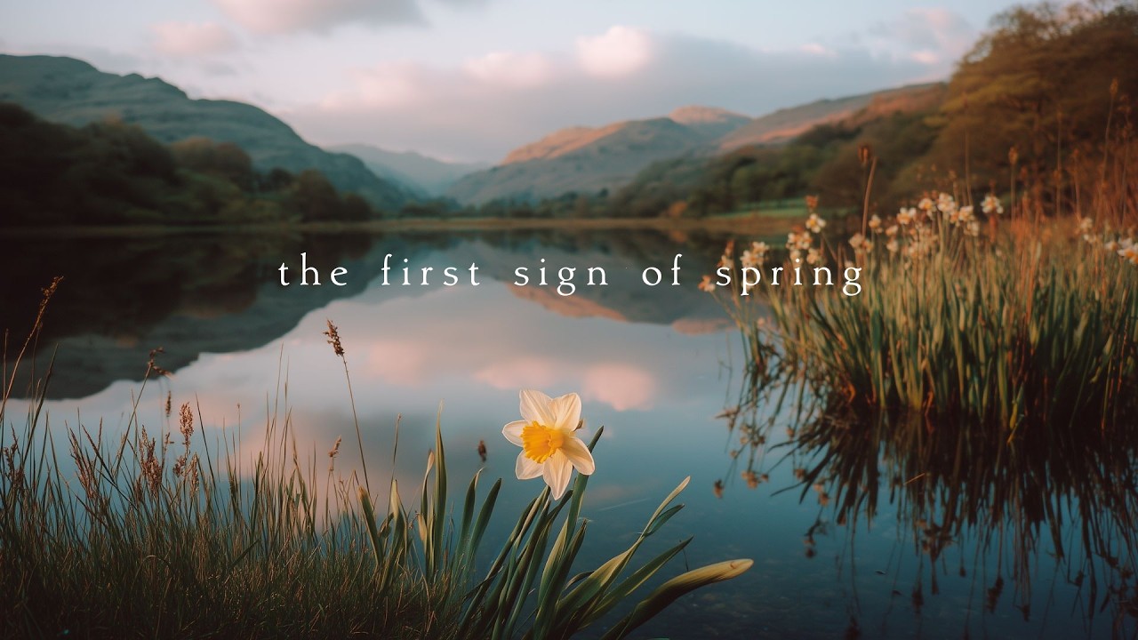 The first sign of spring | Piano Playlist