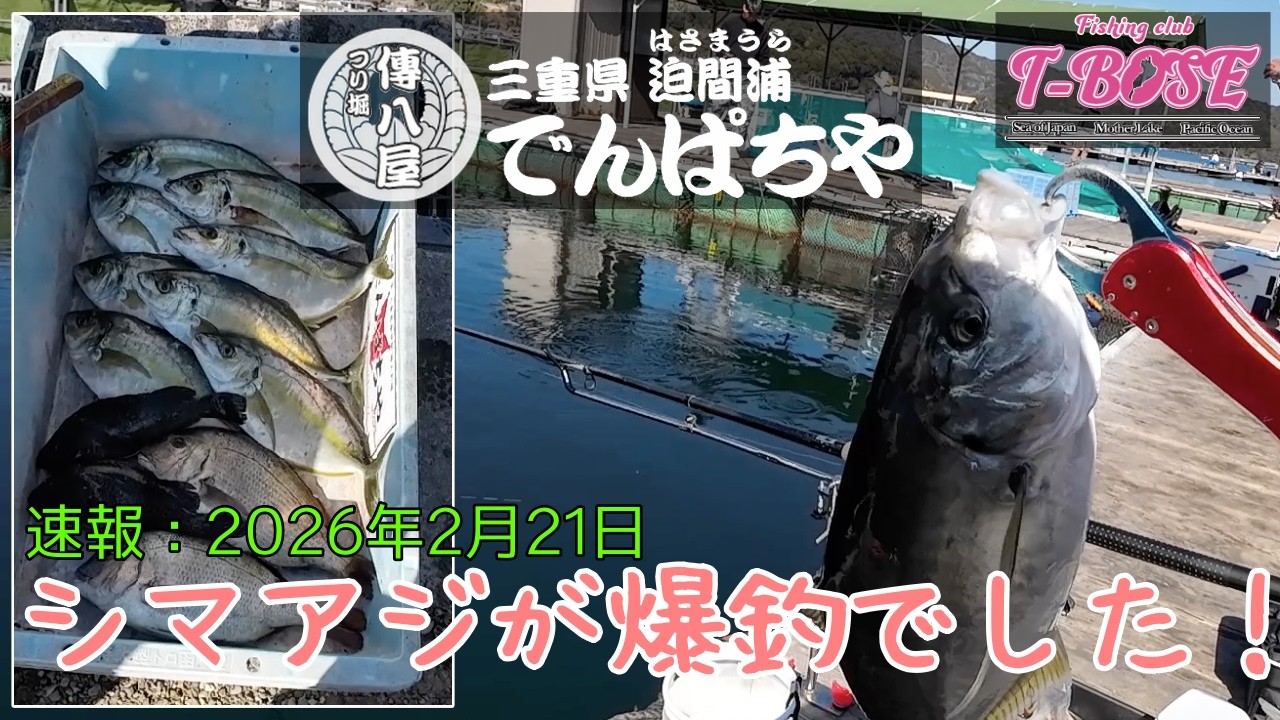 【速報：海上釣堀】26年2月21日　傳八屋（でんぱちや）さんでシマアジラッシュ！