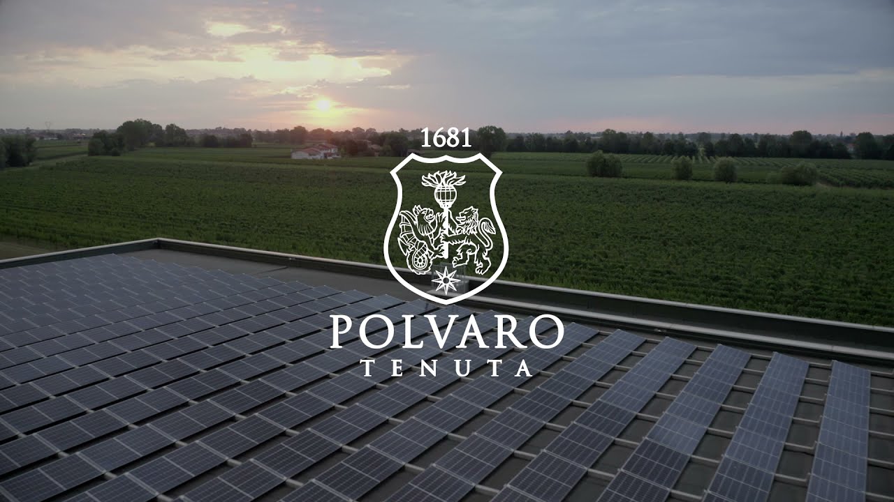 Tenuta Polvaro Wines