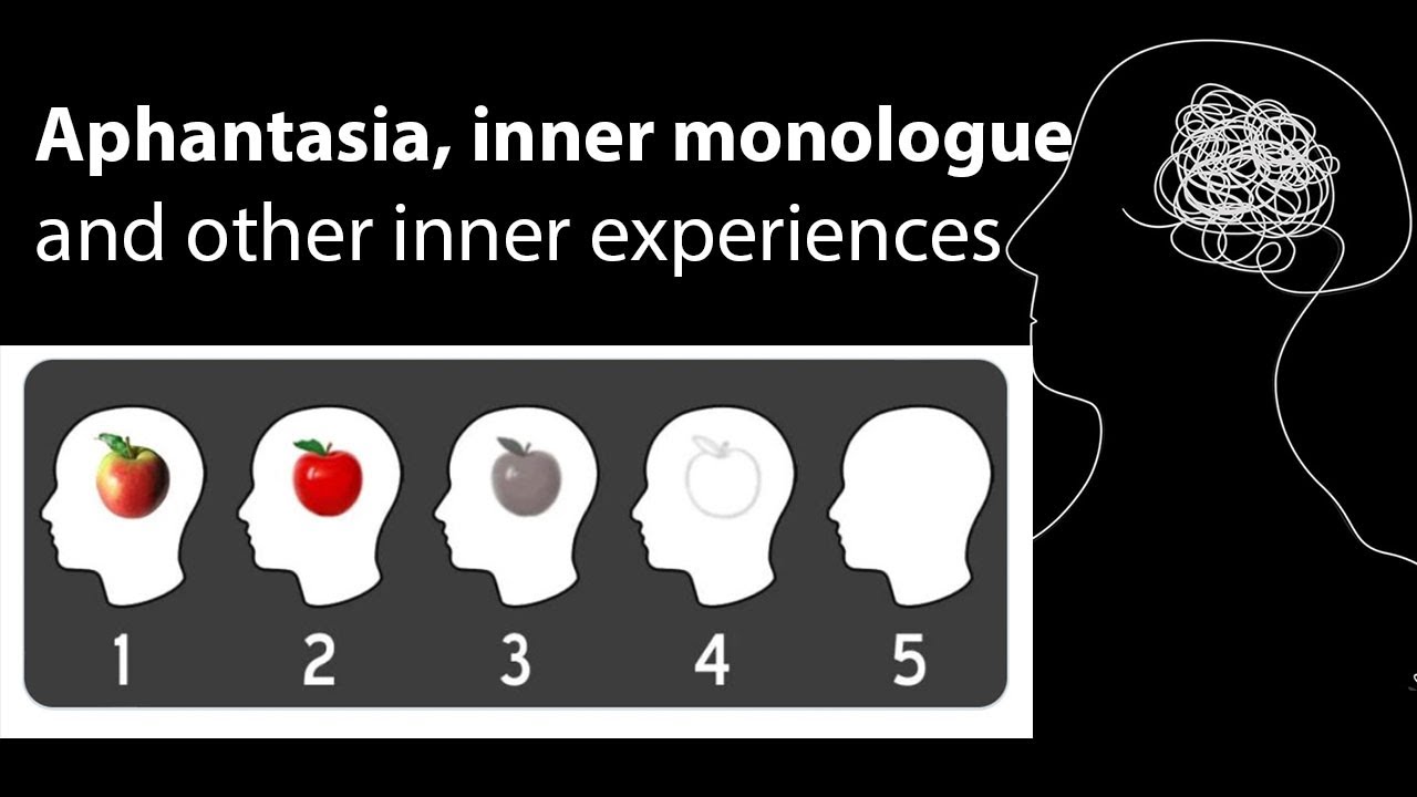 Aphantasia, internal monologue, and ambiguities in those areas | Russell Hurlburt