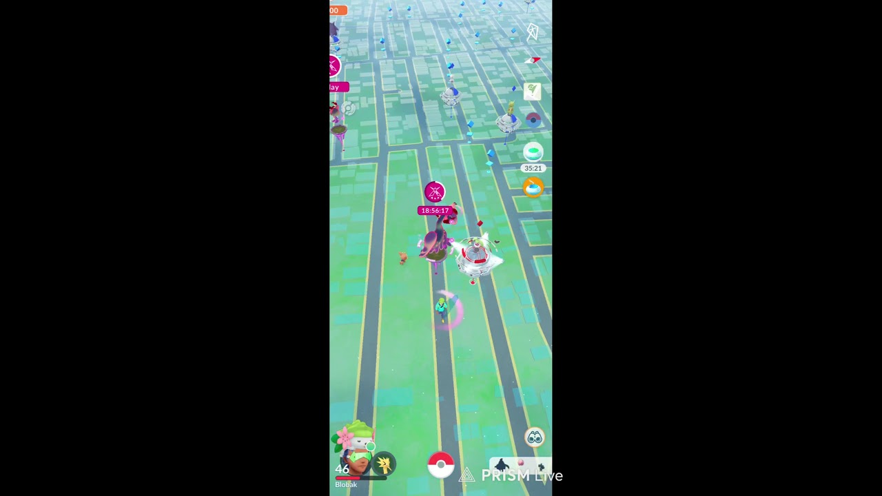 Pokemon Go - Walking for Shinys