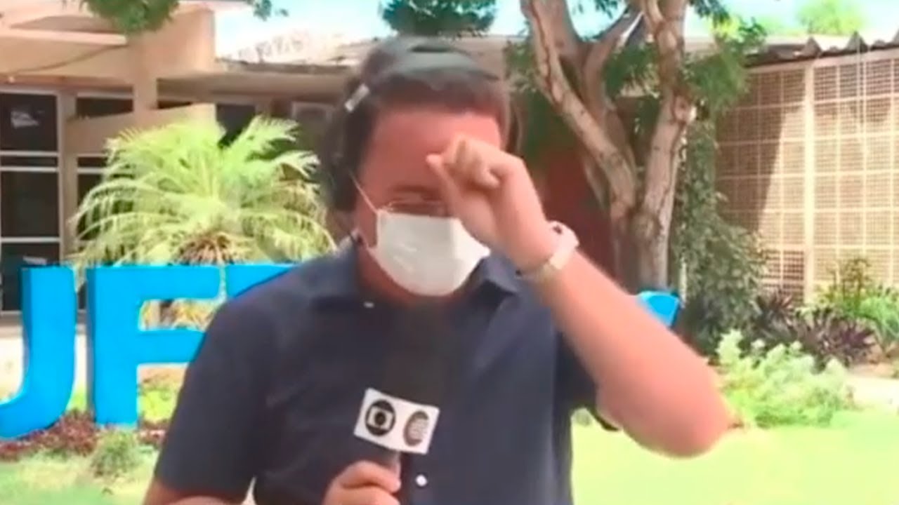 Rep&oacute;rter &eacute; atacado por gavi&atilde;o ao vivo - Veja a cena!