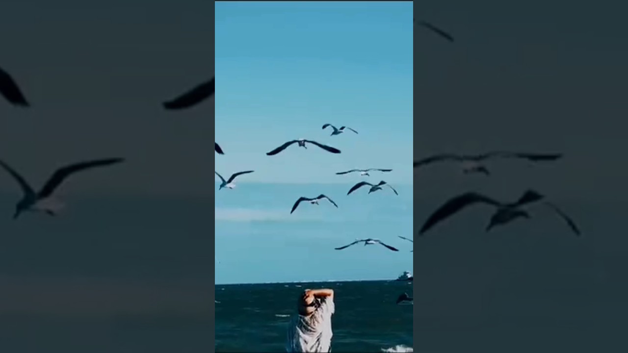 what a view ! 🌊✨ #short #viralvideo #shorts #asmr #nature