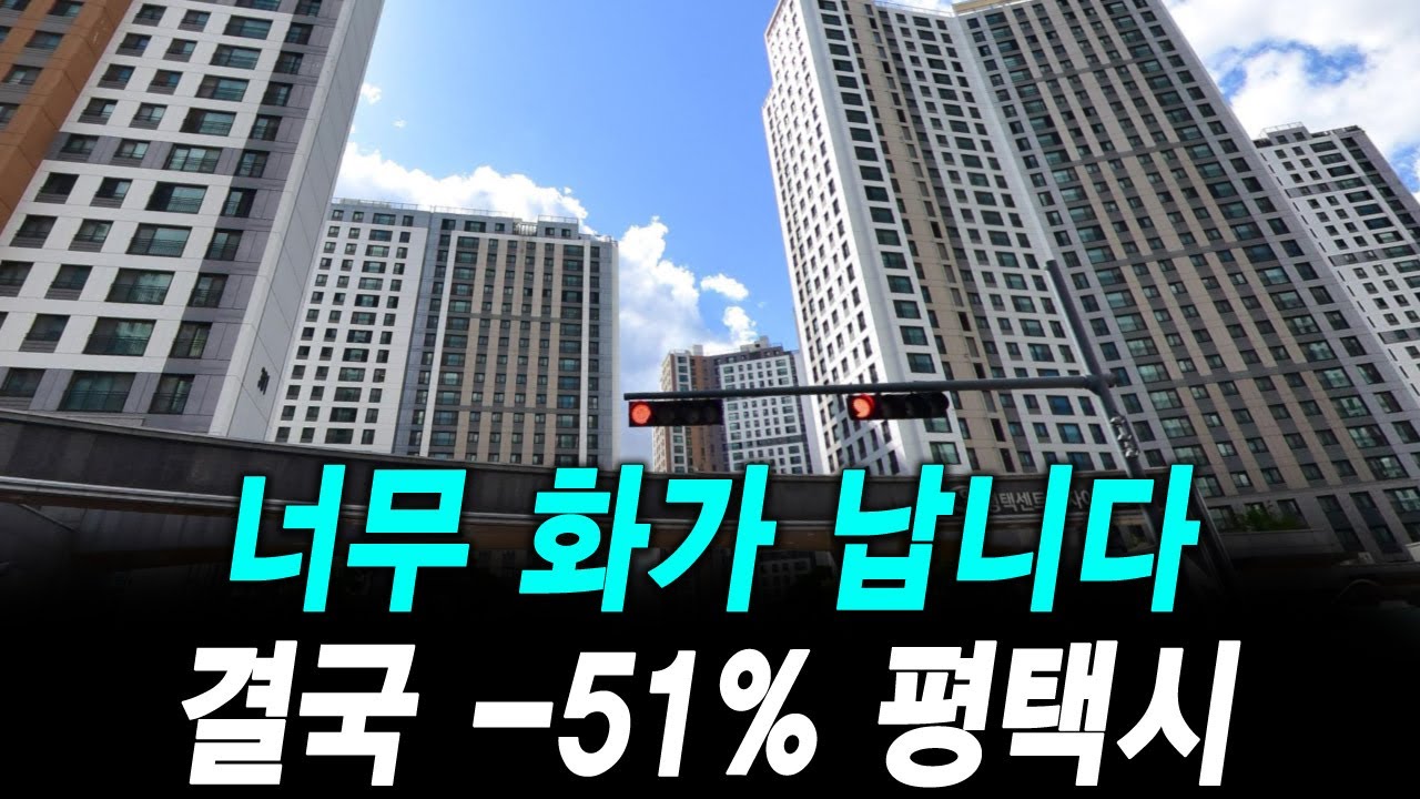 너무 화가 납니다 결국 -51% 평택시