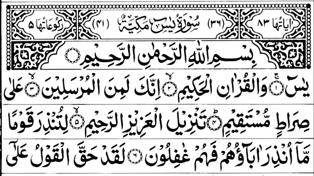 Surah Yaseen | Yasin | Daily Tilawat Quran Surah Yasin Surah Rahman Surah Waqia Surah Yaseen