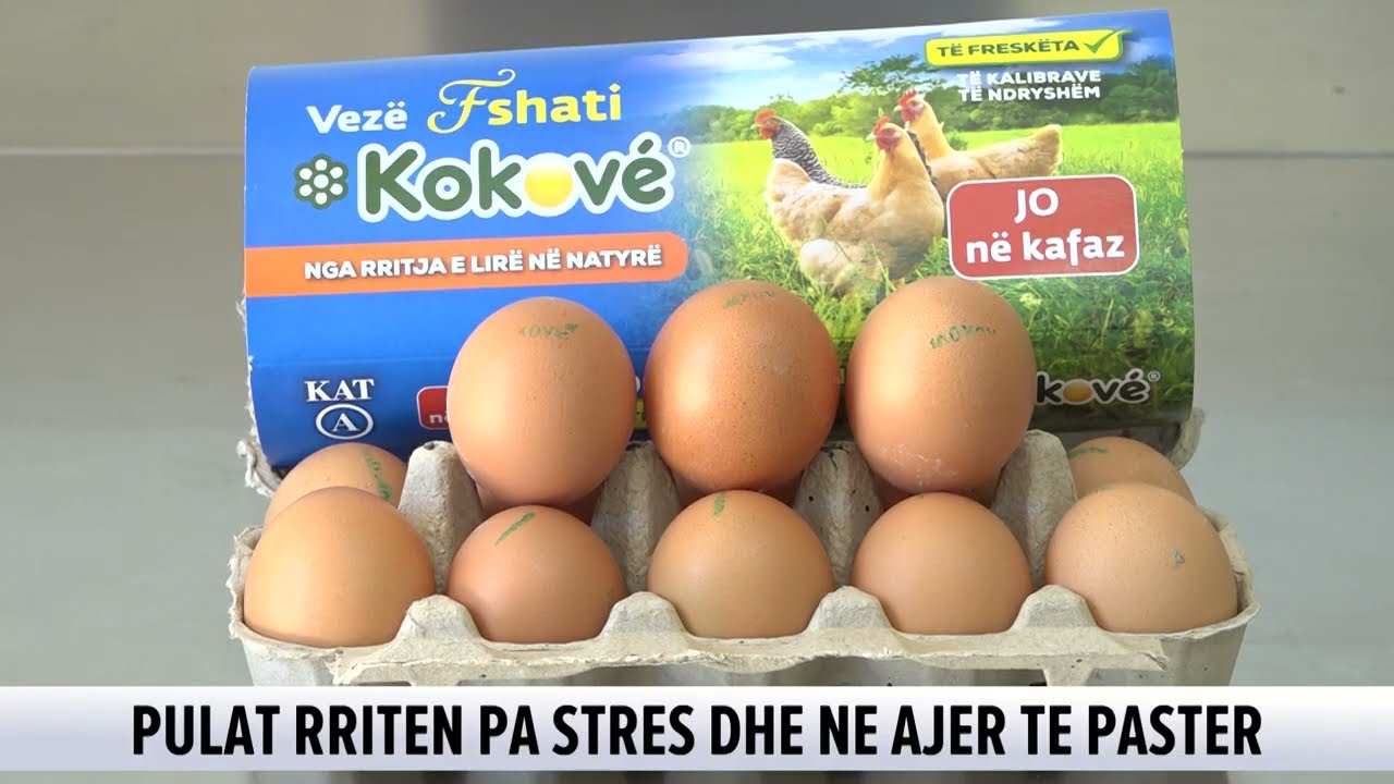 Ferma organike &ldquo;Cocoal&rdquo; n&euml; harmoni me natyr&euml;n! Pulastren dhe veza Kokove e sh&euml;ndetshme!