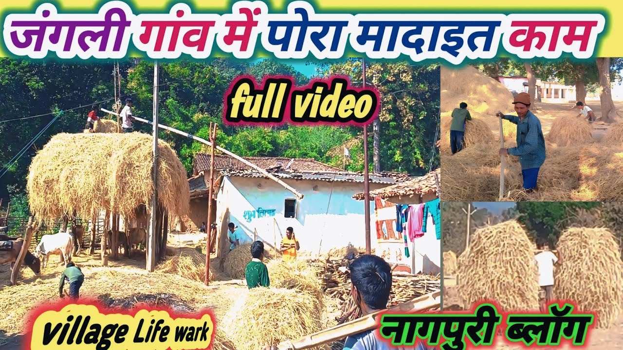 पहाड़ी गांव में पोरा मादाइत काम सादरी ब्लॉग वीडियो🤔//देसी लिफ्ट का जुगाड //Villlage Life wark Video 