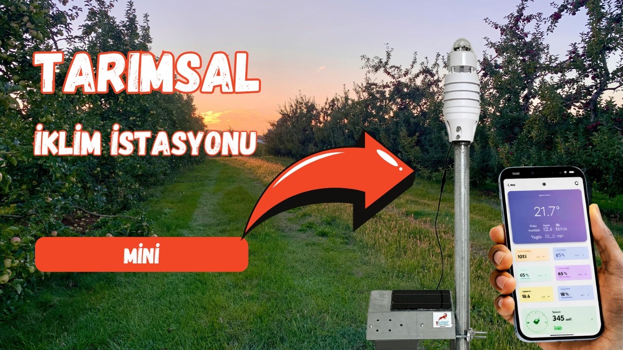 İklim İstasyonu Tarımsal Mini Kurulumu | Esular