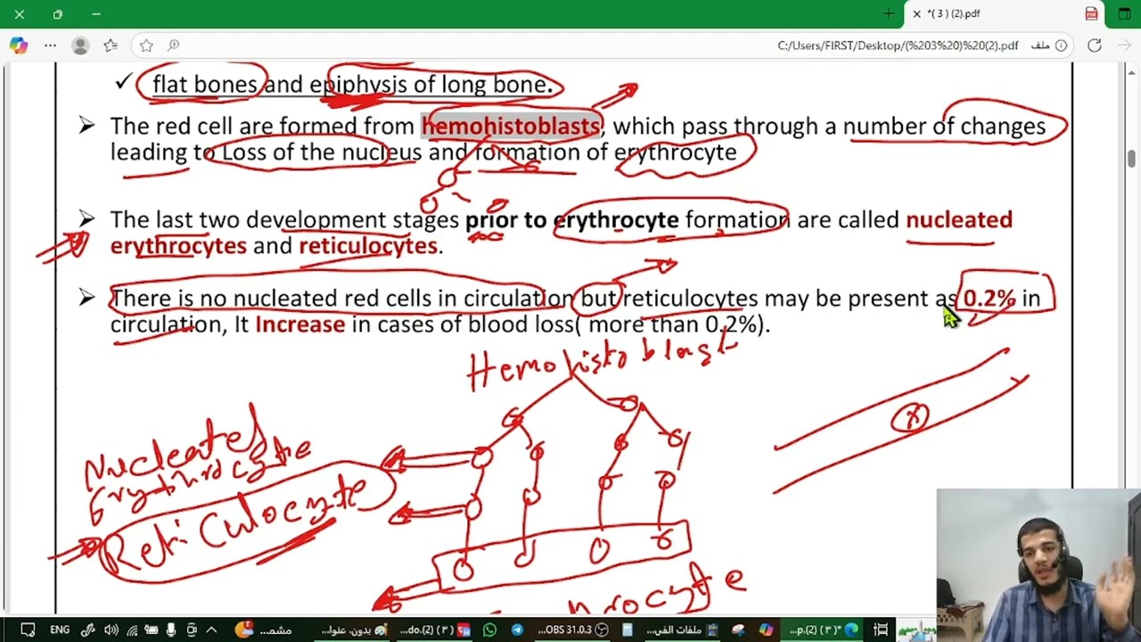 شرح تصنيع الهيموجلوبين طب بيطري الفرقه الاولي hemoglobin synthesis 