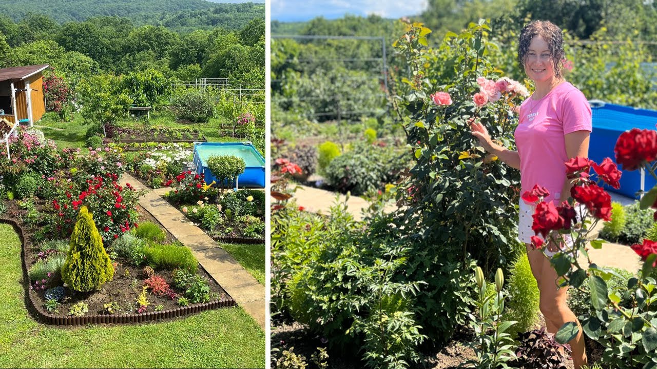 Сад, огород в июне. Обзор. Краснодарский край.