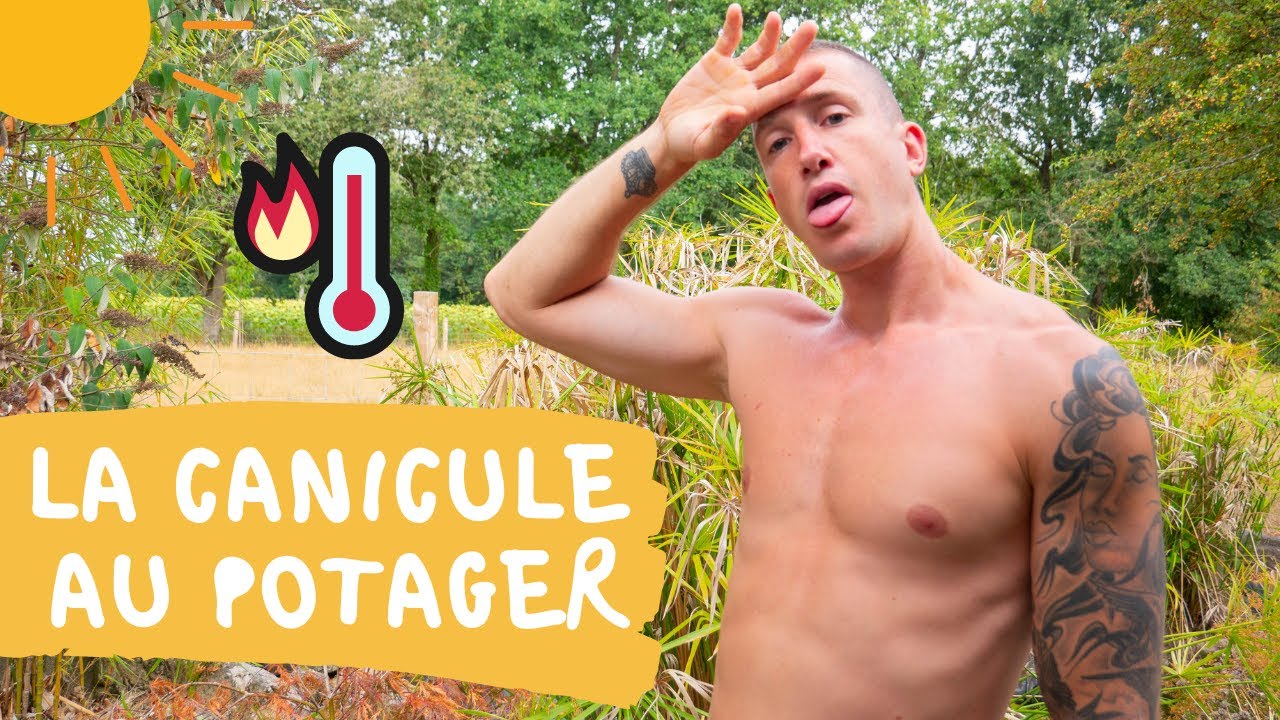 Faire face &agrave; la canicule au potager : 3 astuces (+ 1 bonus)