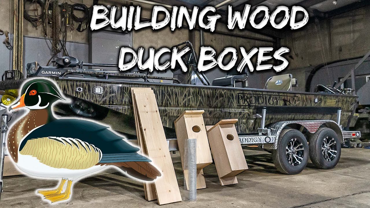 BUILDING Wood Duck Boxes |  How to Video
