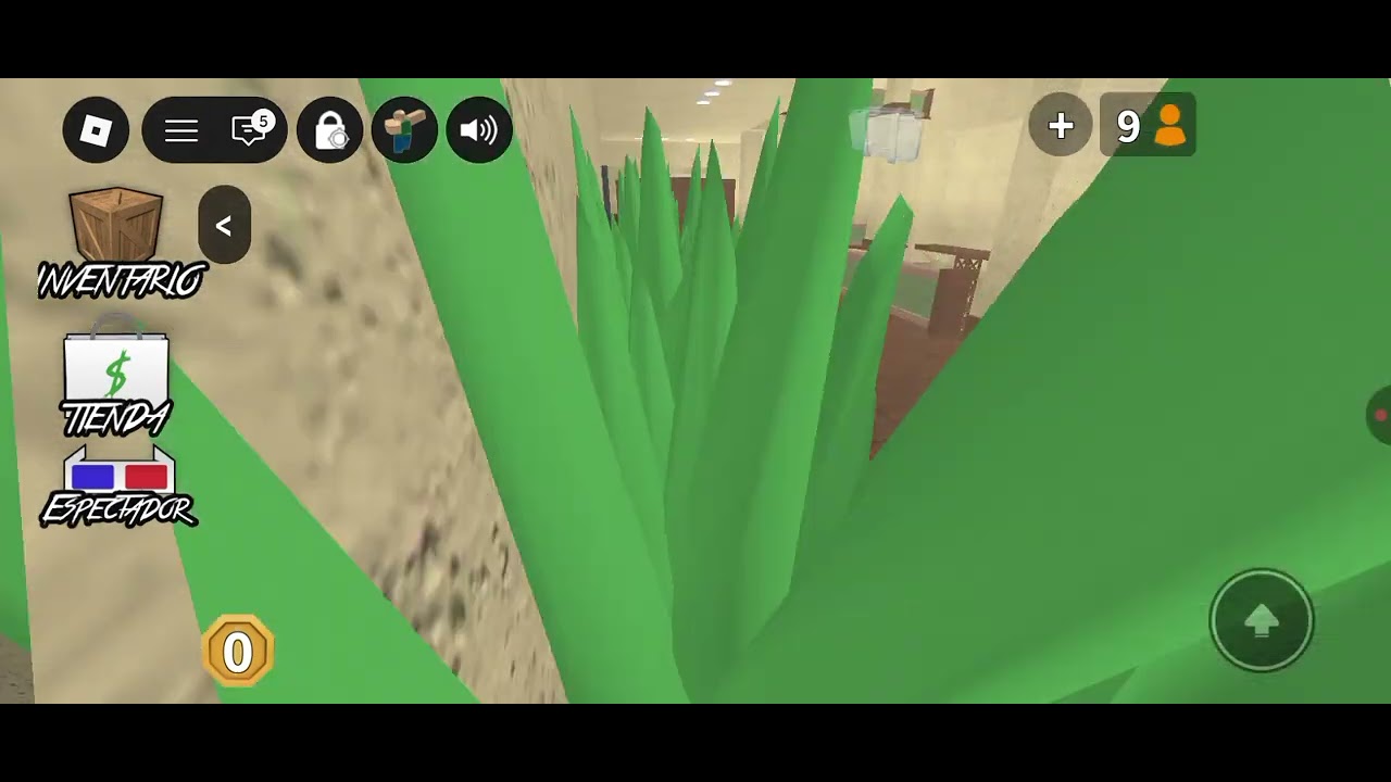 Primer video largo