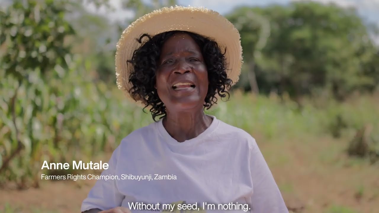 Join us in the movement for Seed is Life: Stop UPOV