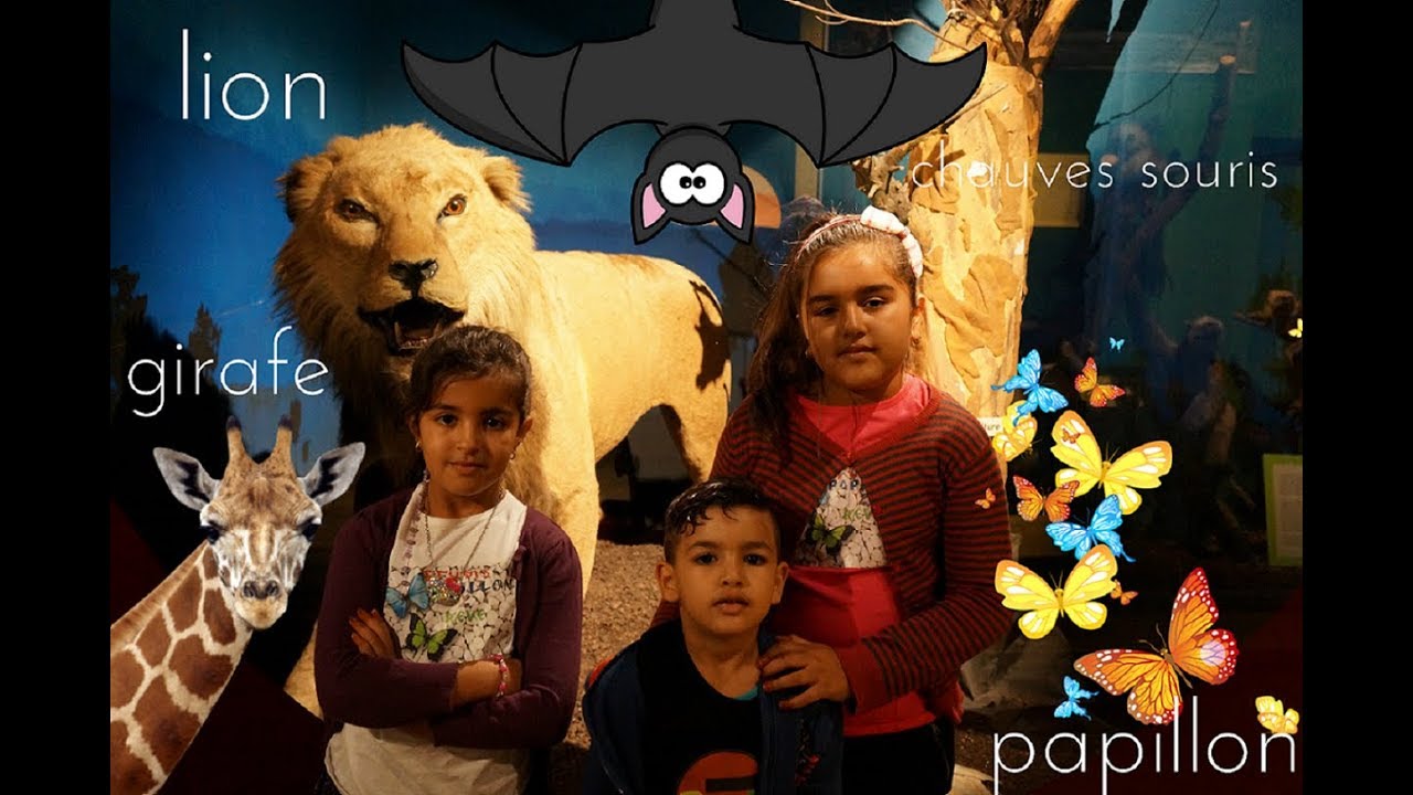 VLOG# Visite au musée zoologique #STUDIO PAPILLON 2 REVE (Mellina et Maya)