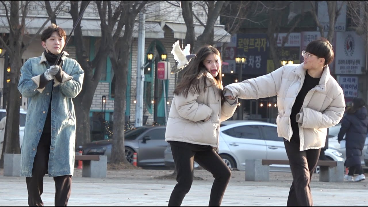비둘기 습격 ㅋㅋㅋ