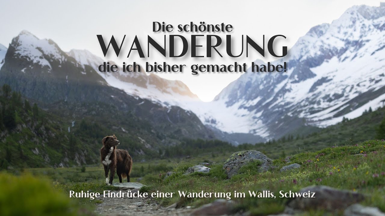 Wandern mit Hund in der Schweiz