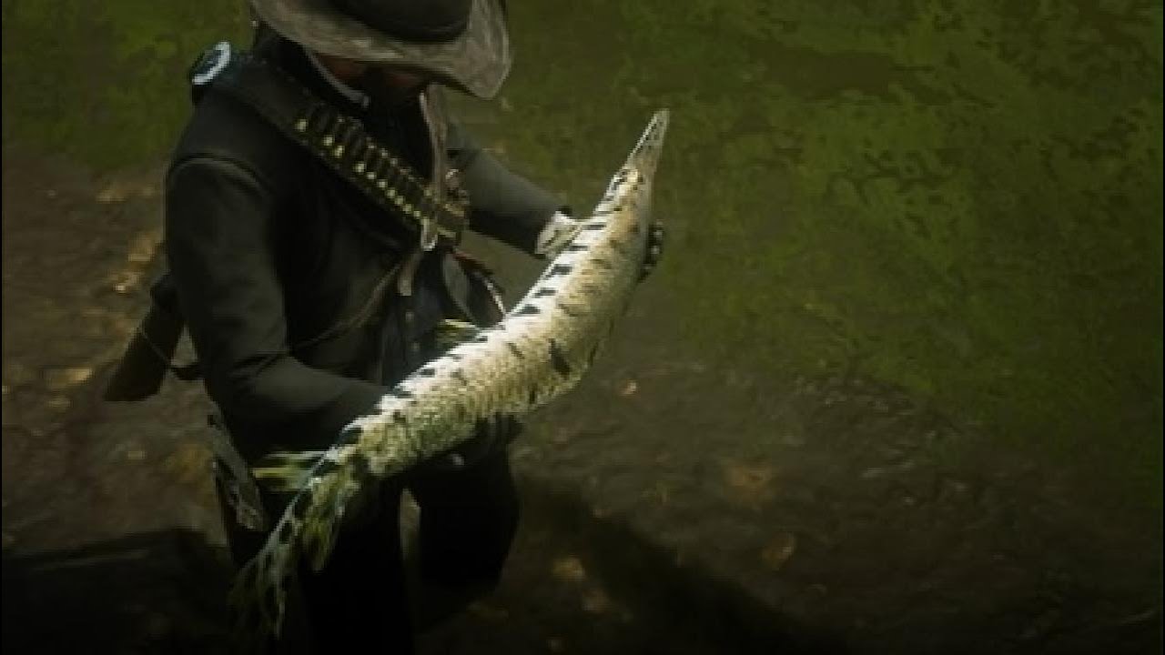 Red Dead Redemption 2 |Pescando o peixe Boca de Jacaré Lendário 