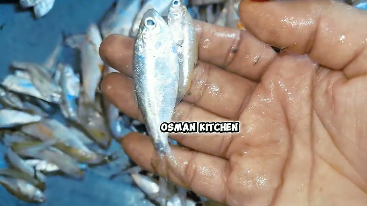 সহজ পদ্ধতিতে হুগা মাছ রান্না রেসিপি।#foryou#ranna#vairalvideo#fish#recipe 