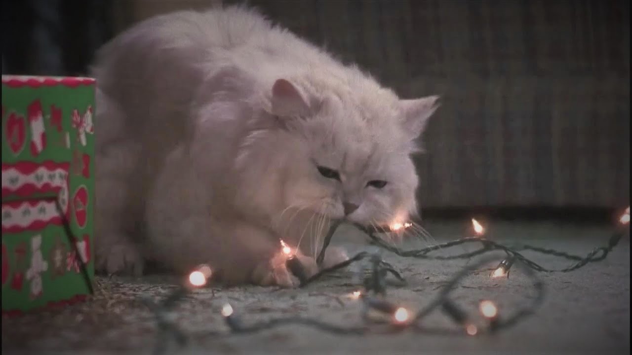 National Lampoon's Christmas Vacation - Fried Pussy Cat (Funny)