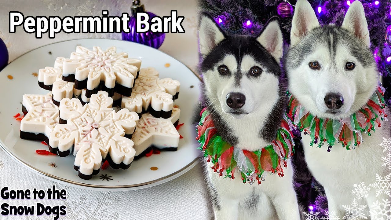 How to Make Peppermint Bark for Dogs 🎄 DIY Dog Treats 127 🎄 Christmas Dog Treats